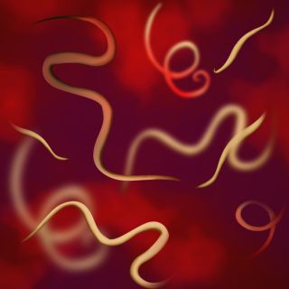 liminação Eficaz de Parasitas