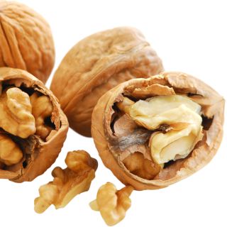 Casca de Noz (Peperomia caperata)