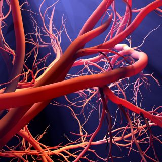 Limpeza Profunda de Órgãos e Tecidos